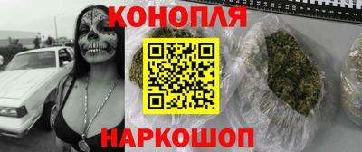 бошки Камышлов