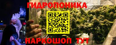 бошки Камышлов