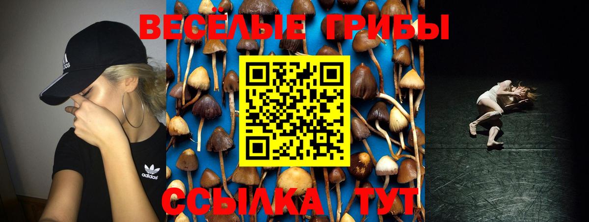Кирово-Чепецк  Галлюциногенные грибы GOLDEN TEACHER  Псилоцибиновые грибы Cubensis  Вход с VPN 